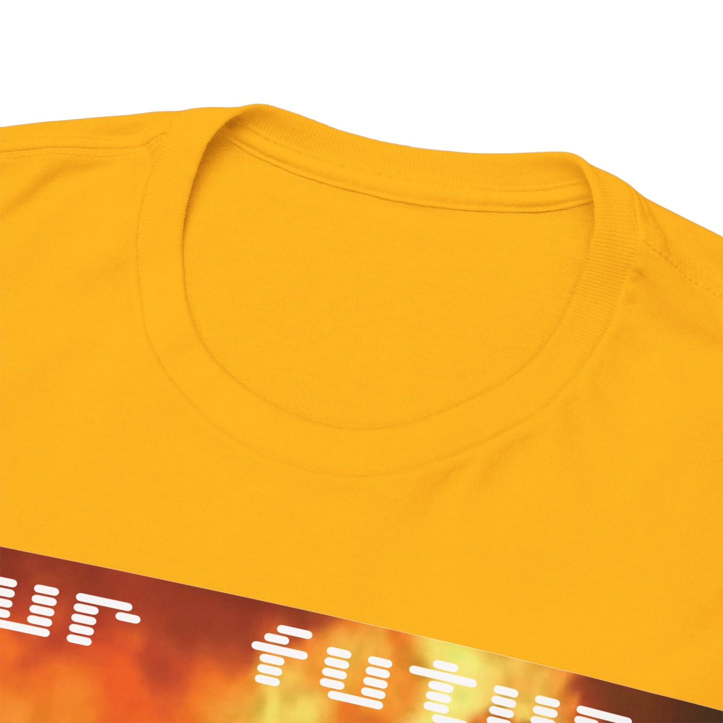 'Your Future Housewife' Chef Cat Meme T-Shirt